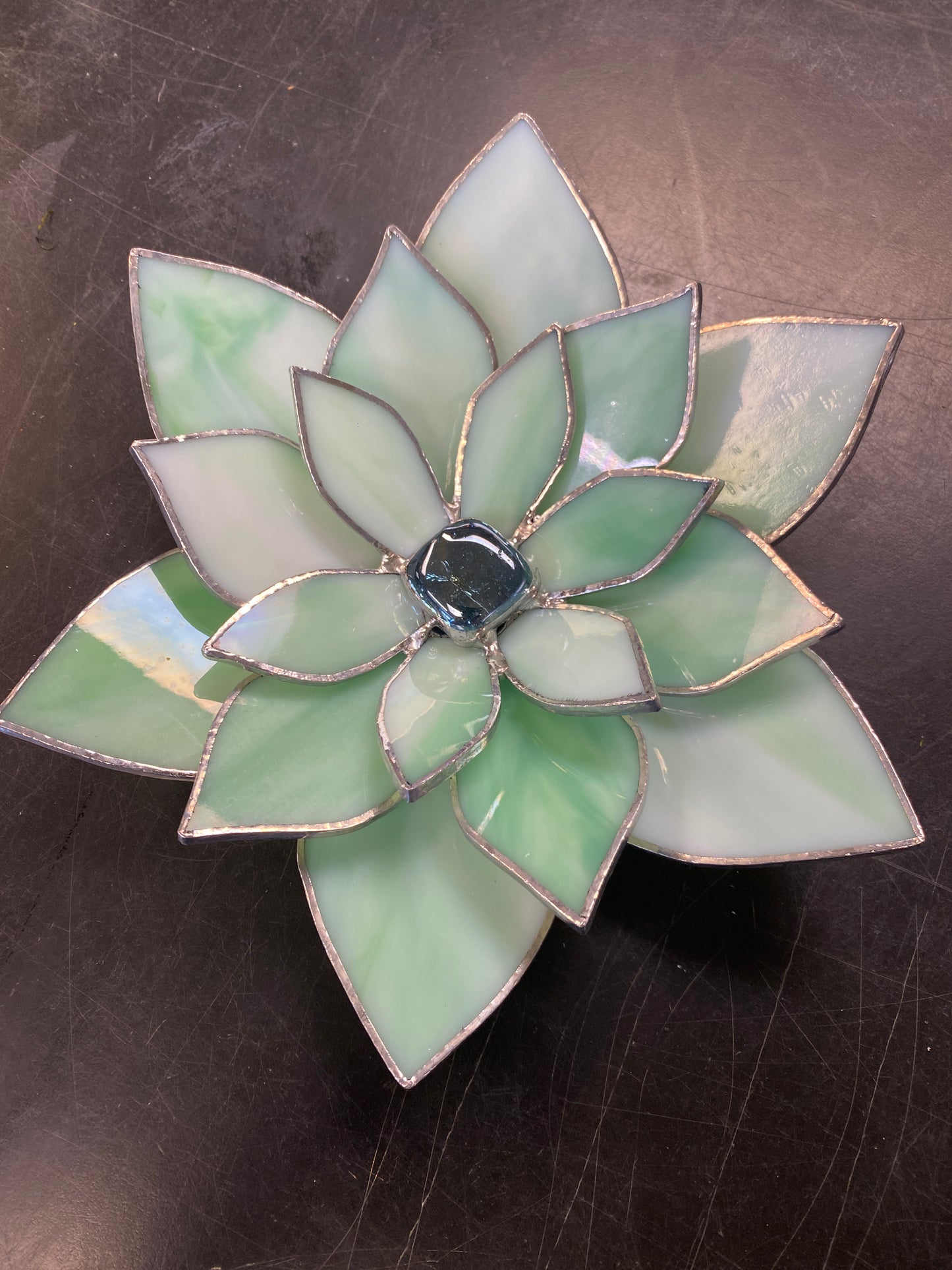 Succulent with Jeweled Center