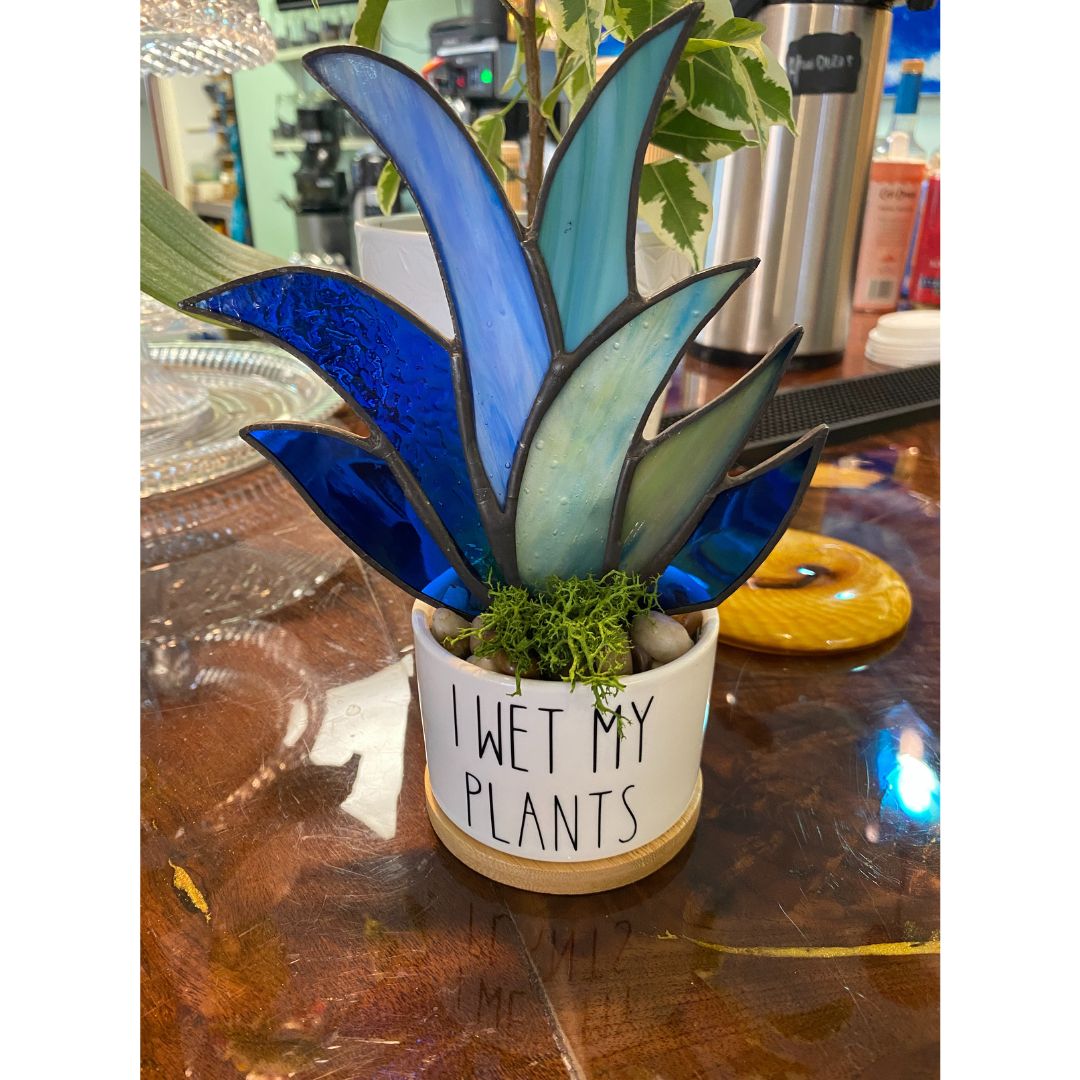 Agave Planter
