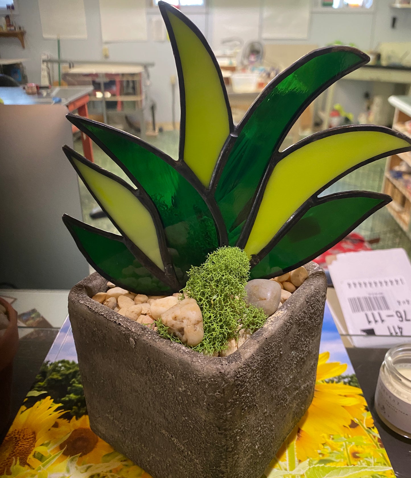 Agave Stone Planter