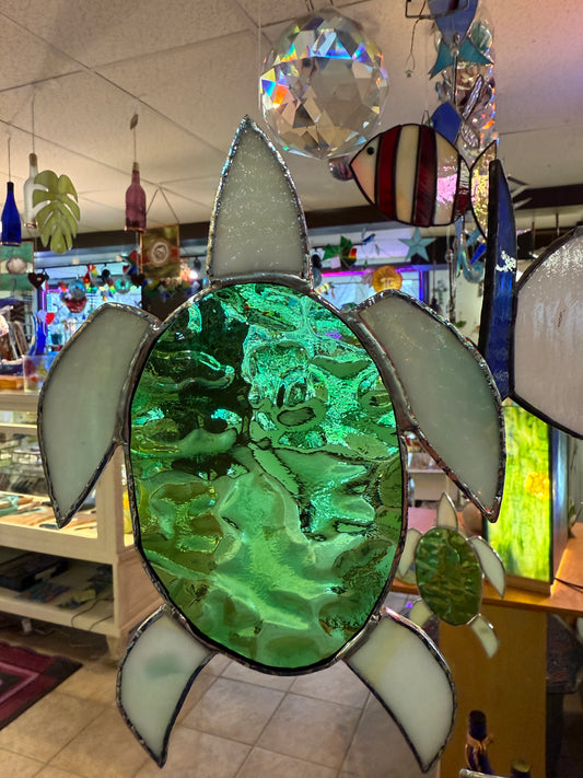 Sea Turtle