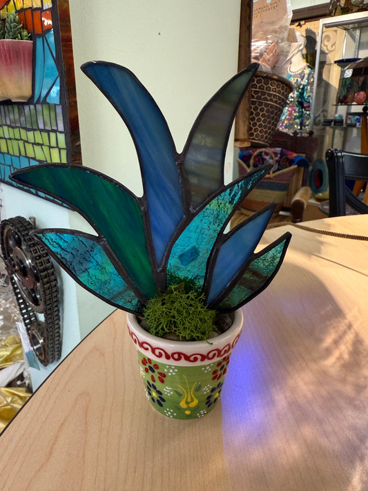 Agave Planter