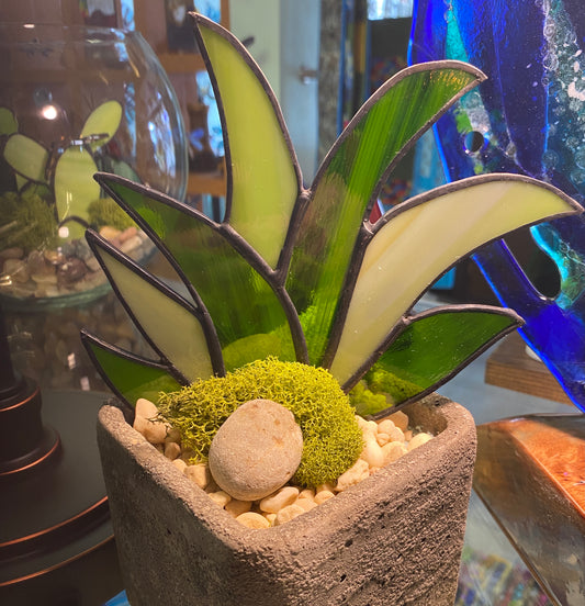 Agave Stone Planter