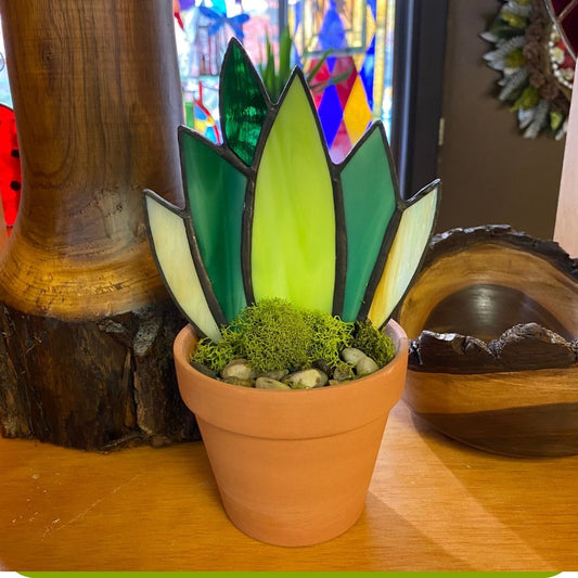 Sm Agave planter